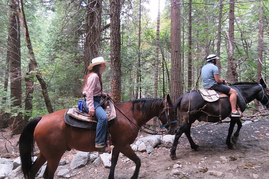 Tour image 13