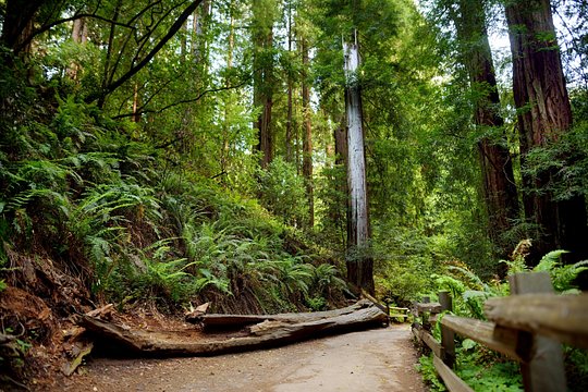 Tour image 4